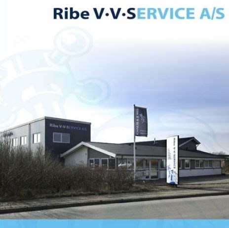 ribe vvs service1
