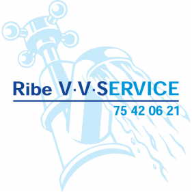 ribe vvs service2